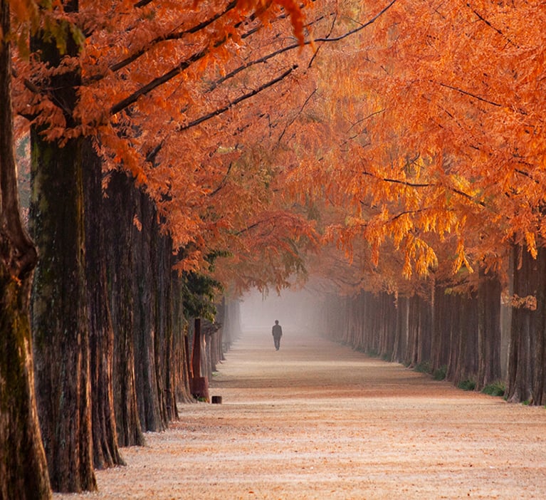 Choosing Between Burial or Cremation