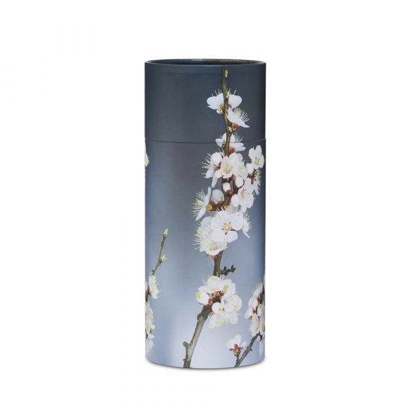 Grey Cherry Blossom Scattering Tube