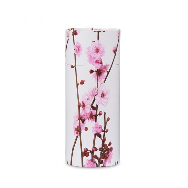 Pink Cherry Blossom Scattering Tube