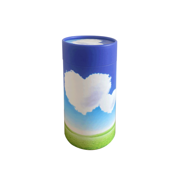 Heart in Cloud Scattering Tube